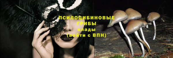 марихуана Абаза