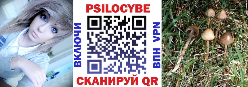 Псилоцибиновые грибы MAGIC MUSHROOMS  дарнет шоп  Ярославль 