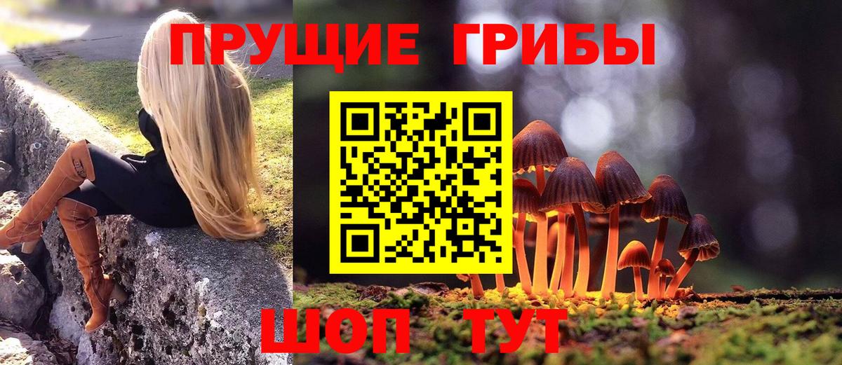 Галлюциногенные грибы прущие грибы  Вход с VPN  Псилоцибиновые грибы Magic Shrooms  Ярославль 